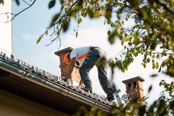 Best Roof Replacement Cost  in New Ulm, MN