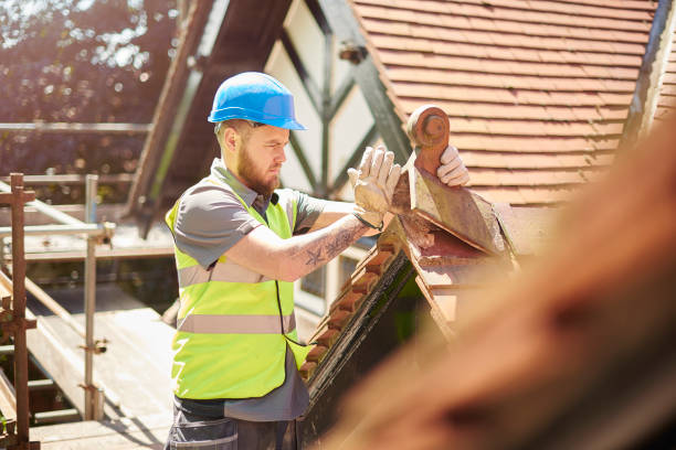 Best Metal Roofing Contractor  in New Ulm, MN